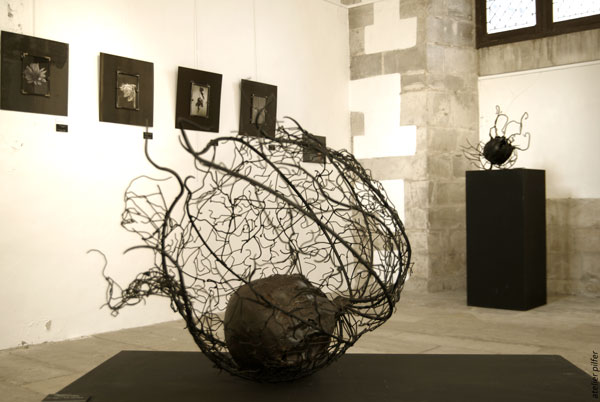 menu 2 sculpture les mauvaises graines le physalis